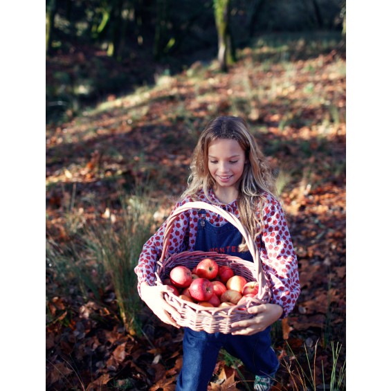 Blusa manzanitas malva