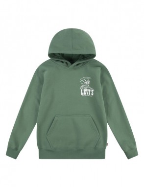 Sudadera capucha verde