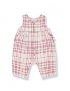 Morera. Mono cuadros