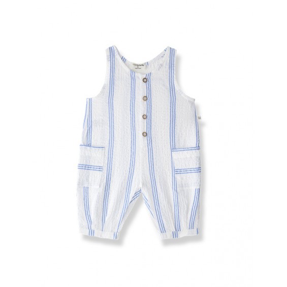 Kotoizko pelele luzea