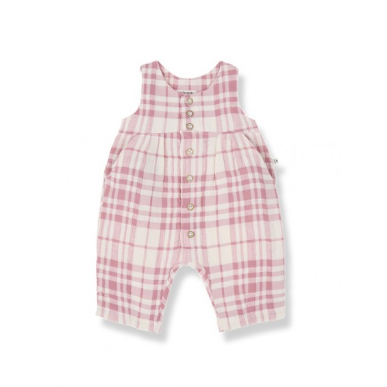 Kotoi eta liozko mono luzea